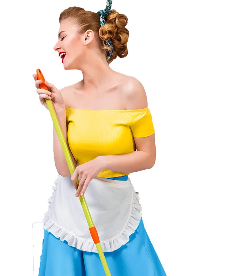 cleaning service team in minnesota