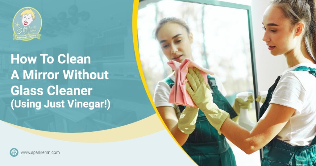 Blog - How To Clean A Mirror Without Glass Cleaner (Using Just Vinegar!)