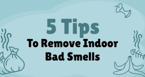 5 Tips to Remove Indoor Bad Smells