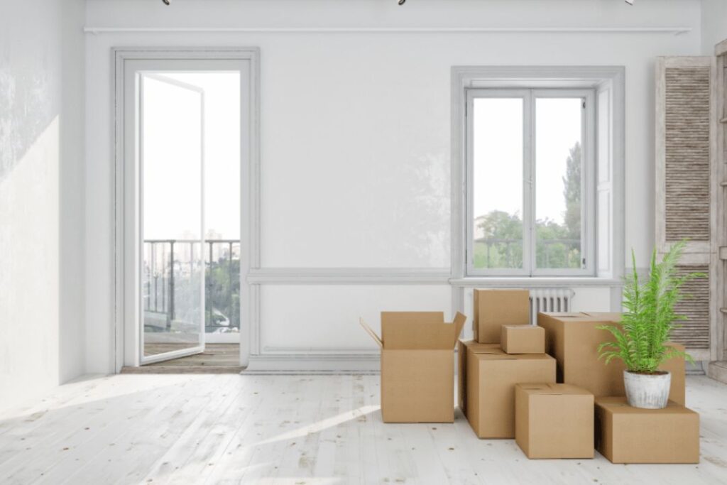 Post-move cleaning and organizing tips