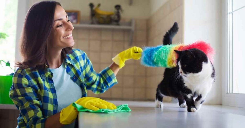 How to Maintain a Fresh, Pet-Friendly Home in Maplewood
