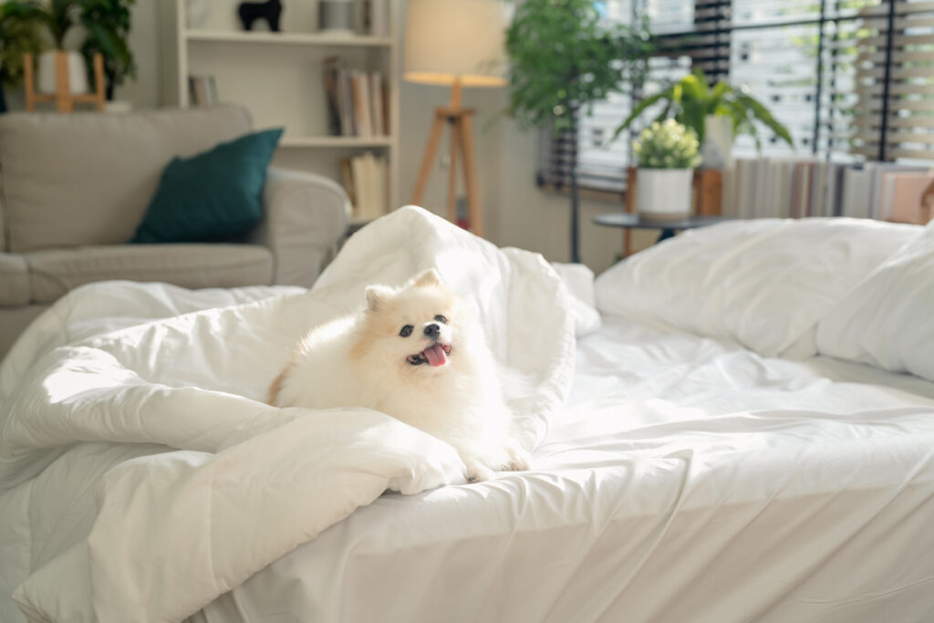 Does a Maplewood Home Need a Deep Clean or Just More Frequent Winter Cleaning?